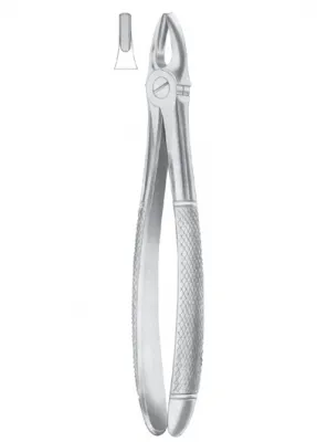Fig.1 Upper Centrals &amp; Canines 
